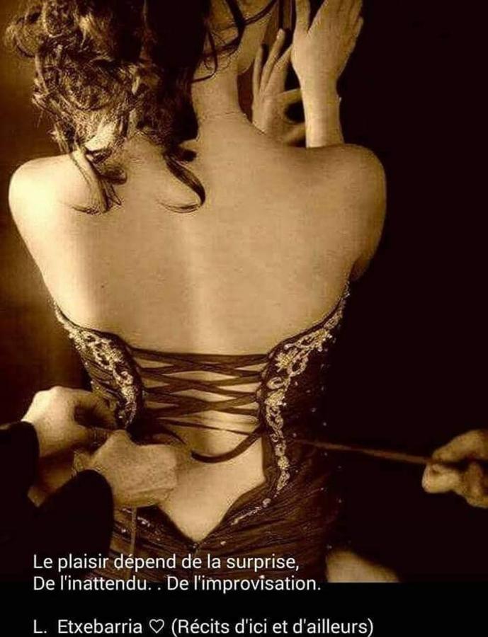 נאנסי La Duchesse - Loveroom Moonlove Place Stanislas מראה חיצוני תמונה